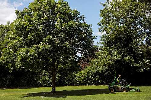 ‘Gardening While Black:’ Man Wins Case as Judge Tosses Charges Brought by Three White Women Who Tormented Him for Months ‘Gardening While Black:’ Man Wins Case as Judge Tosses Charges Brought by Three White Women Who Tormented Him for Months