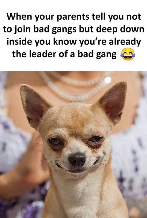 #huddles