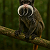 Post: