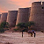 Post: # Thal Desert: A Unique Region of PakistanThal Desert is one of the important desert regions of...